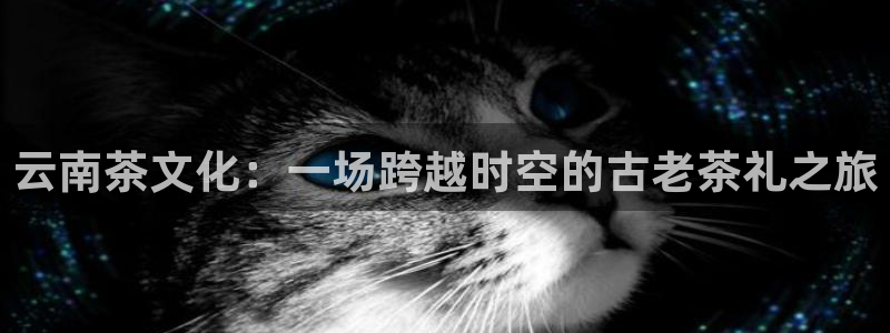 龙八国际什么诈骗