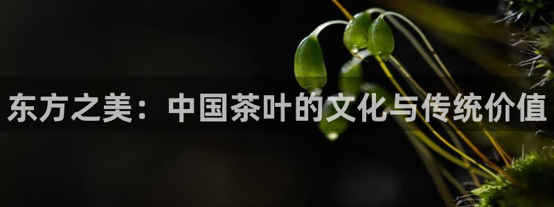 龙八国际手机版下载苹果
