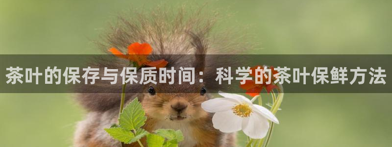 龙八国际官网首页