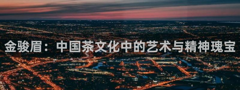 龙八国际app