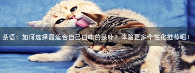 龙八国际更新