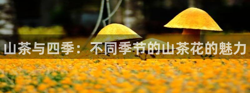 龙八国际娱 乐