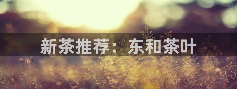 龙八国际娱乐城