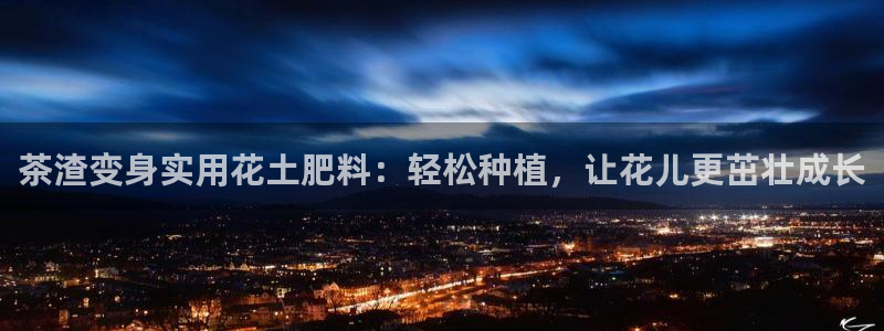 龙八国际手机版下载安卓