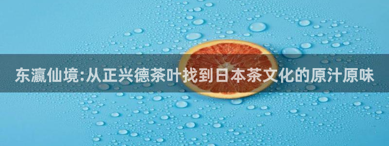 龙八国际网址