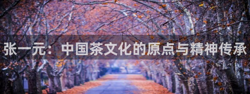 龙八国际娱乐地