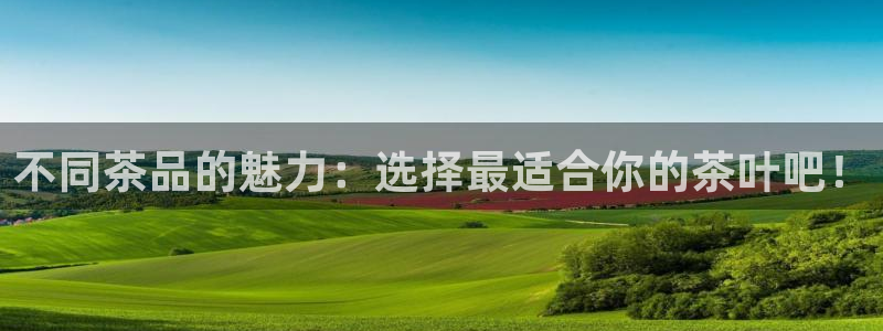 龙八国际手机网页版
