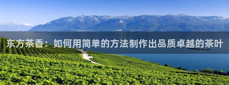 龙八国际在线网址