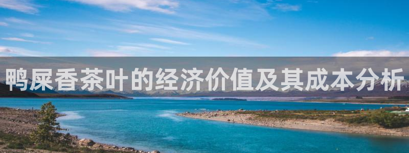 龙八国际手机下载
