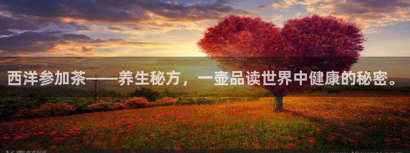龙八国际娱乐在线