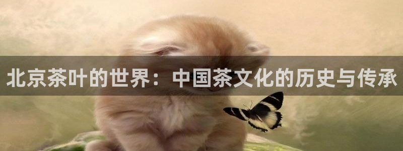 龙八国际优惠券