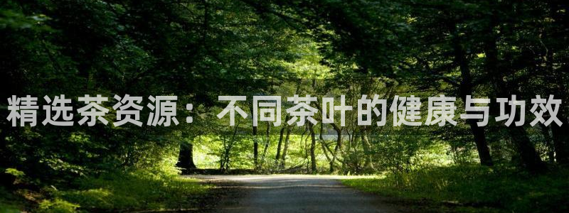 龙八国际有没有假