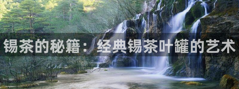 龙八国际服官网
