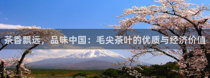 手机版龙八国际