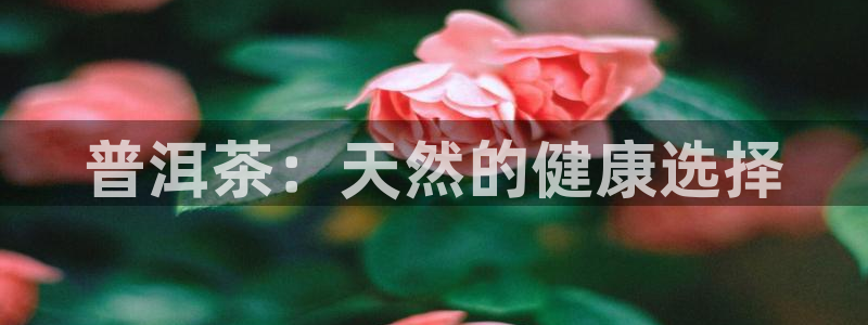 龙八国际头号玩家下截