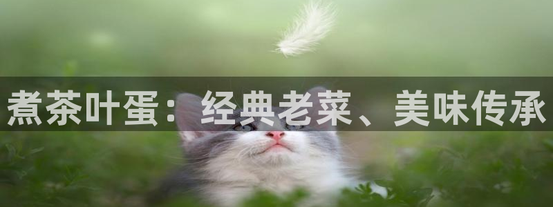 龙八国际游戏