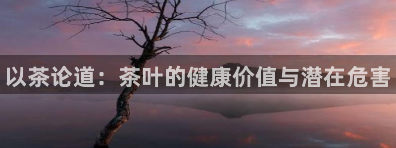 龙八国际代理app