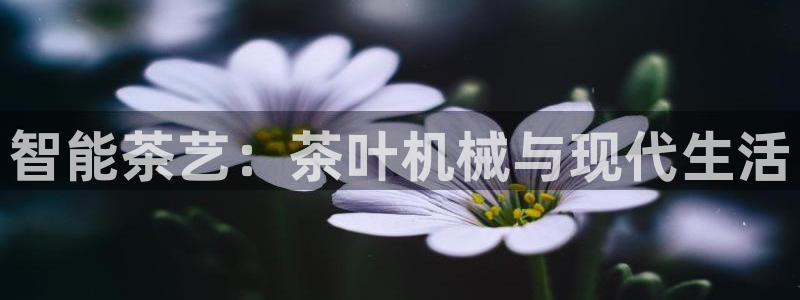 龙八国际平台安卓