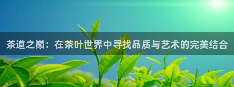 龙八国际88