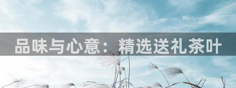 龙八国际pt老虎机官网