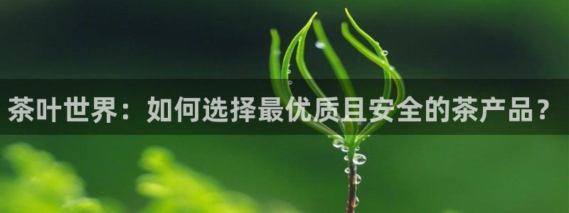 龙八国际下载链接官网
