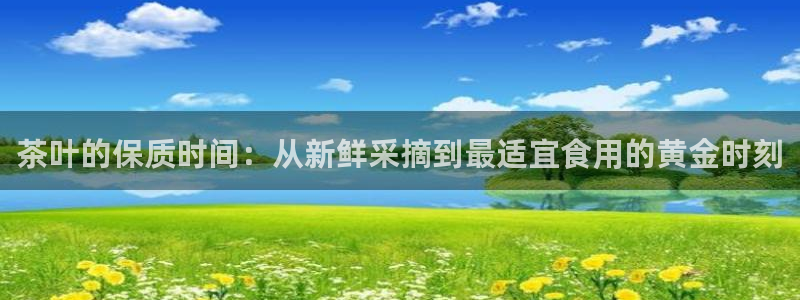 龙八国际手机版下载安卓