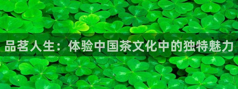 龙八国际输死人