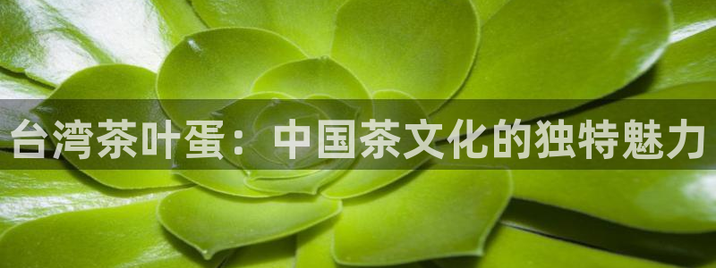 龙八国际网b48点tv