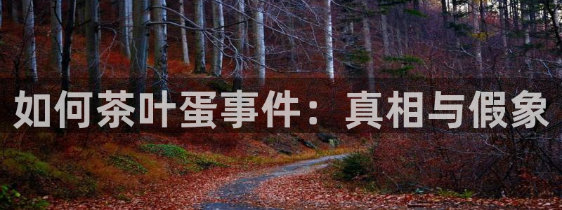 龙八国际mg老虎机