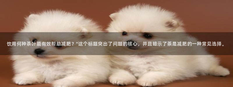 龙八国际安全吗