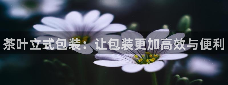 龙八国际服官网下载