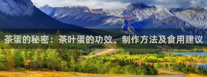 龙八国际88