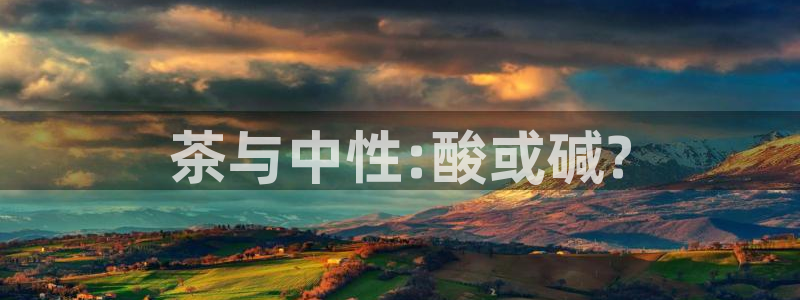 龙八国际手游
