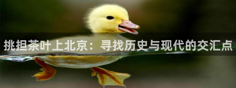 龙八国际安全吗