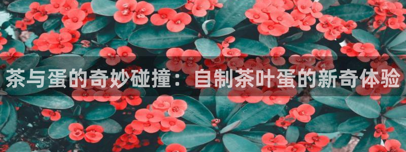 龙八国际手游