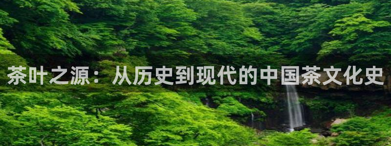 龙八国际图片