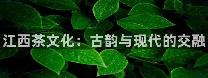 龙八国际头号玩家是谁