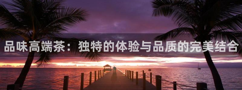 龙八国际登入