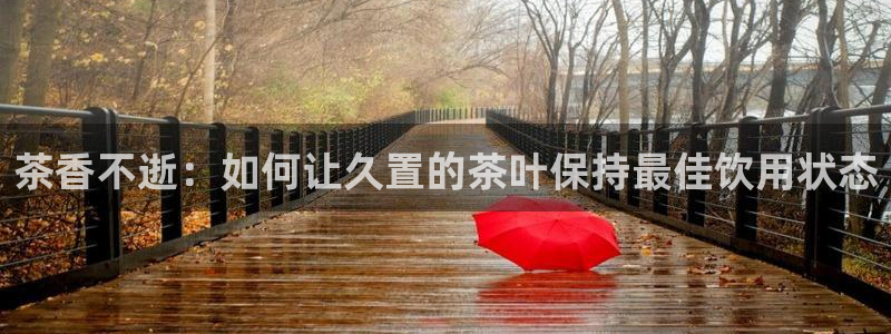 下载龙八国际游戏