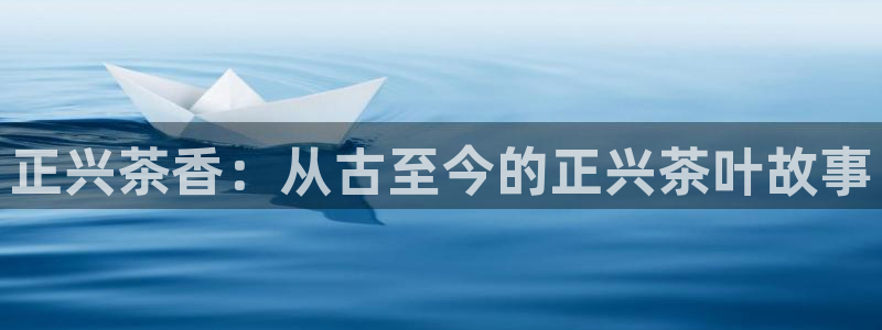 龙八国际mG