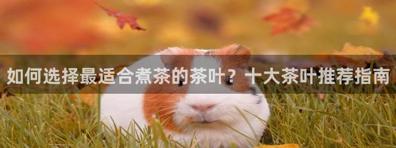 龙八国际平台手机版下载