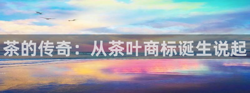 龙八国际app电话号码