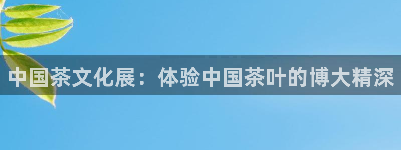 龙八国际手机版下载苹果