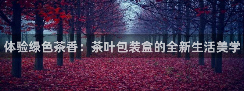 举报龙八国际