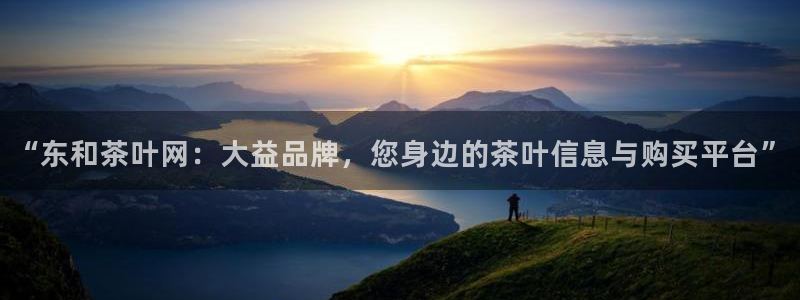 龙八国际官网网站