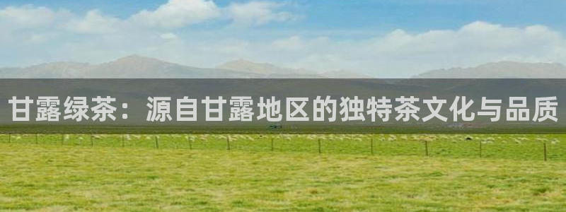龙八国际首页