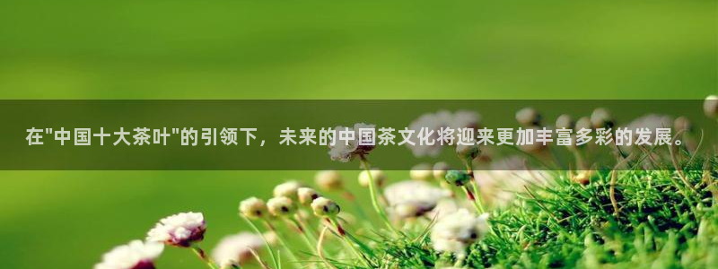 龙八国际 我的