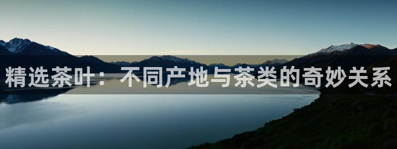 龙八国际菲律宾官网