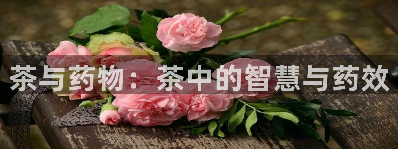 龙八国际平台
