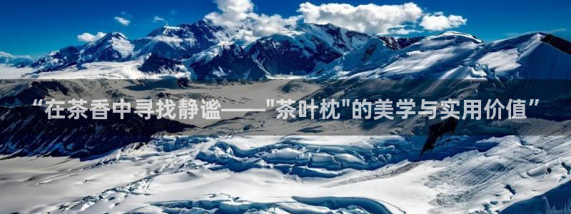 龙八国际新版